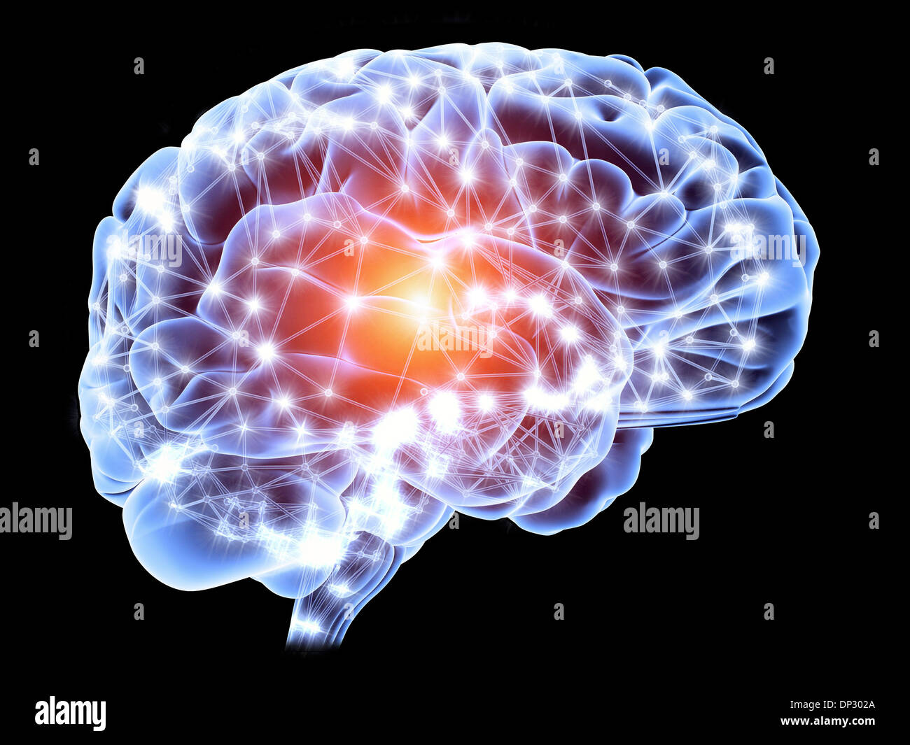 Brain, neural network Stock Photo