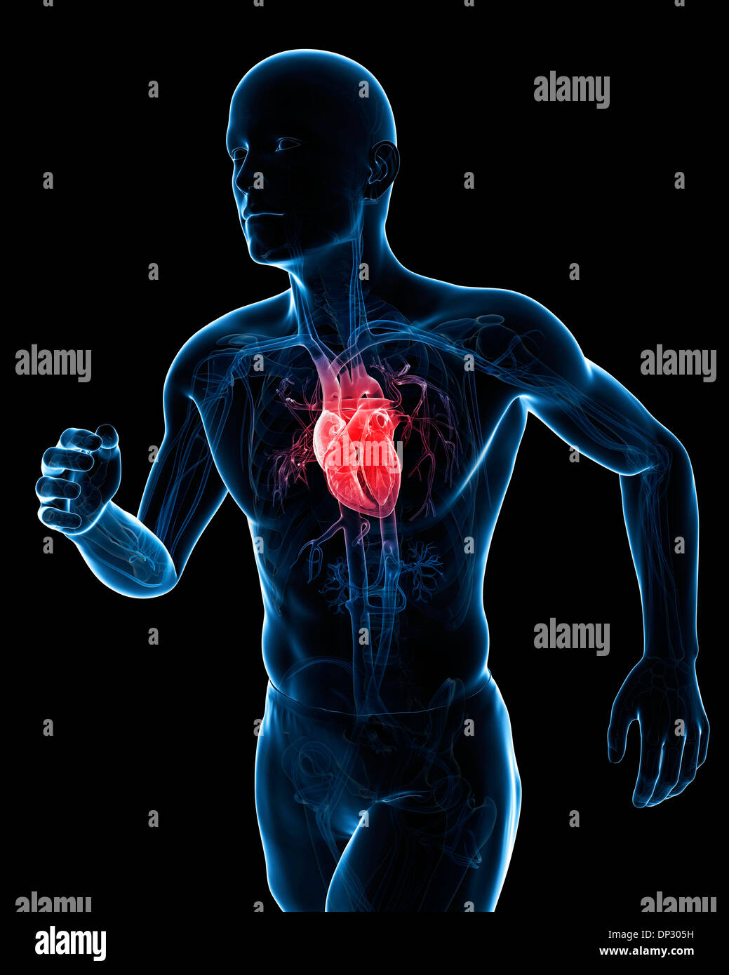 Runner heart, artwork Stock Photo Alamy