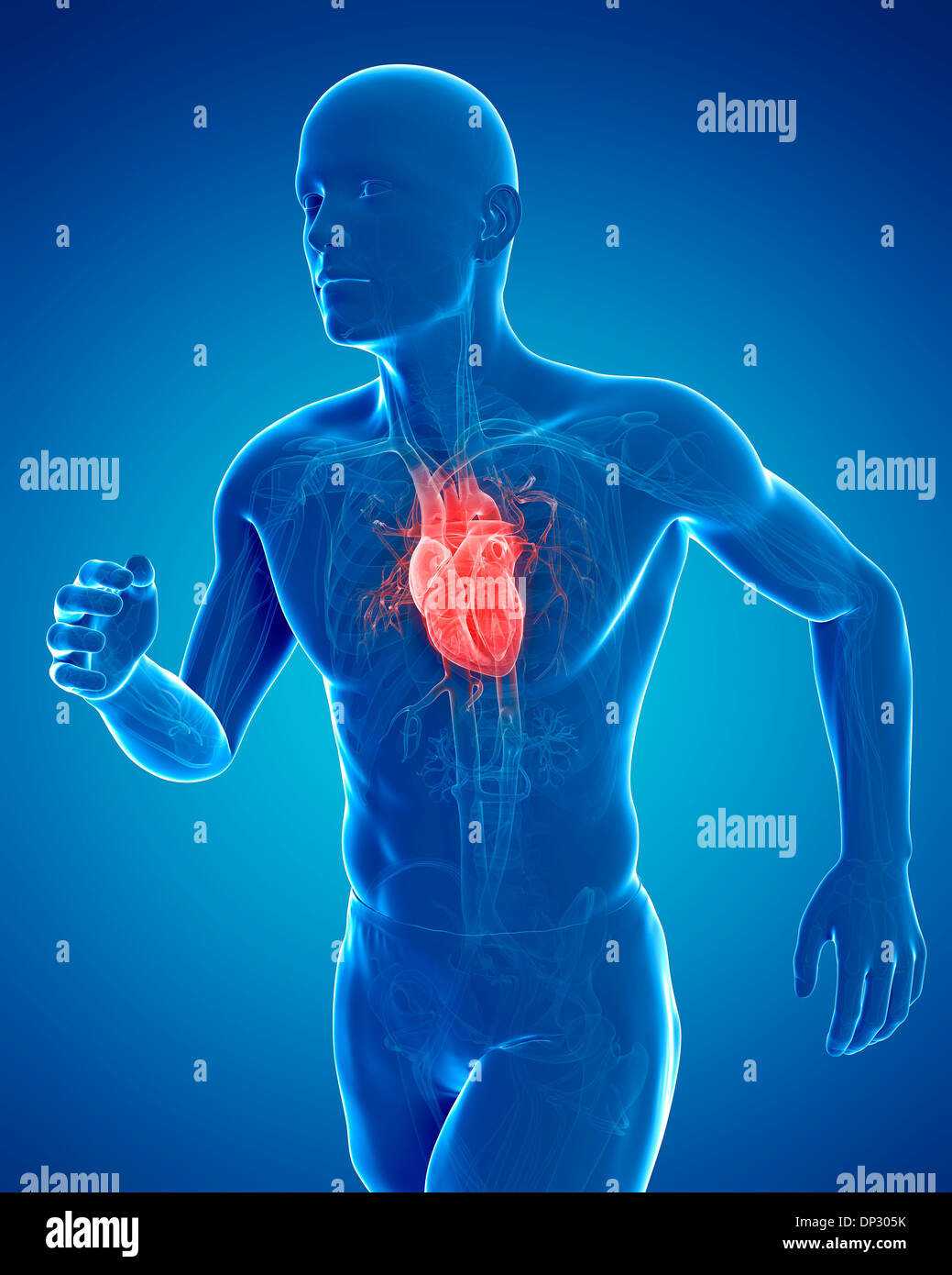 Runner heart, artwork Stock Photo Alamy