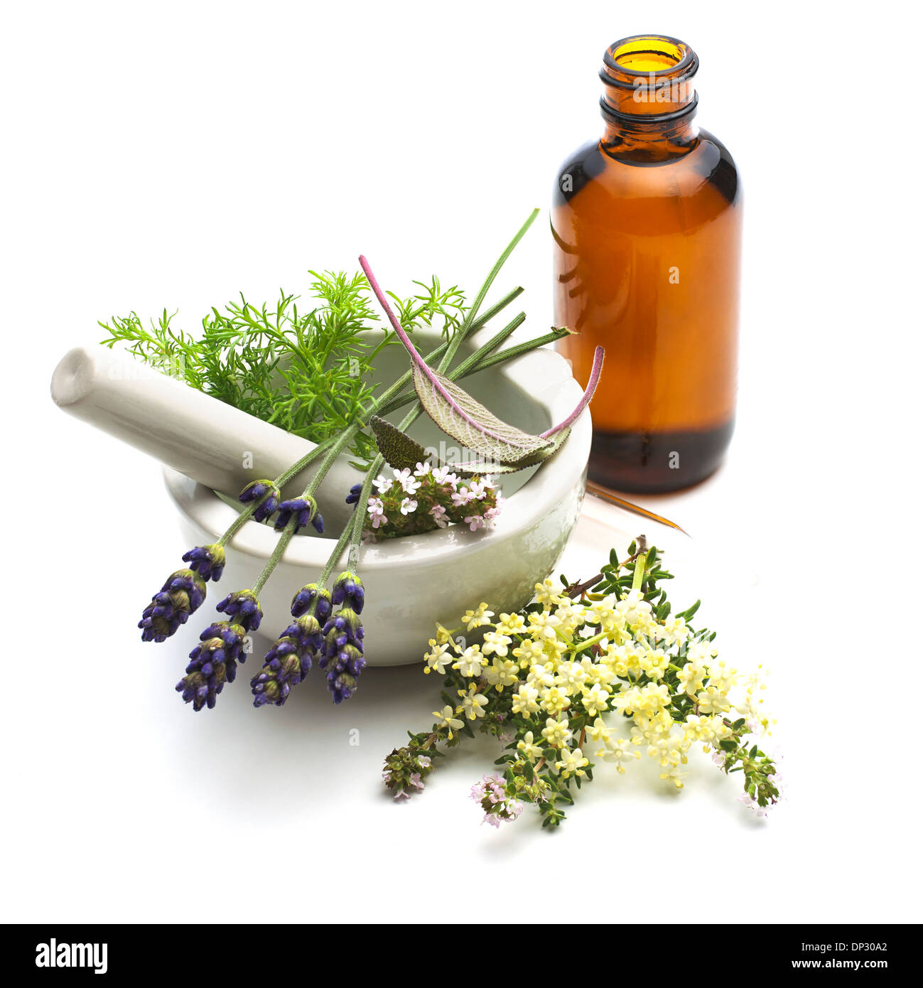 Medicinal plants, conceptual image Stock Photo