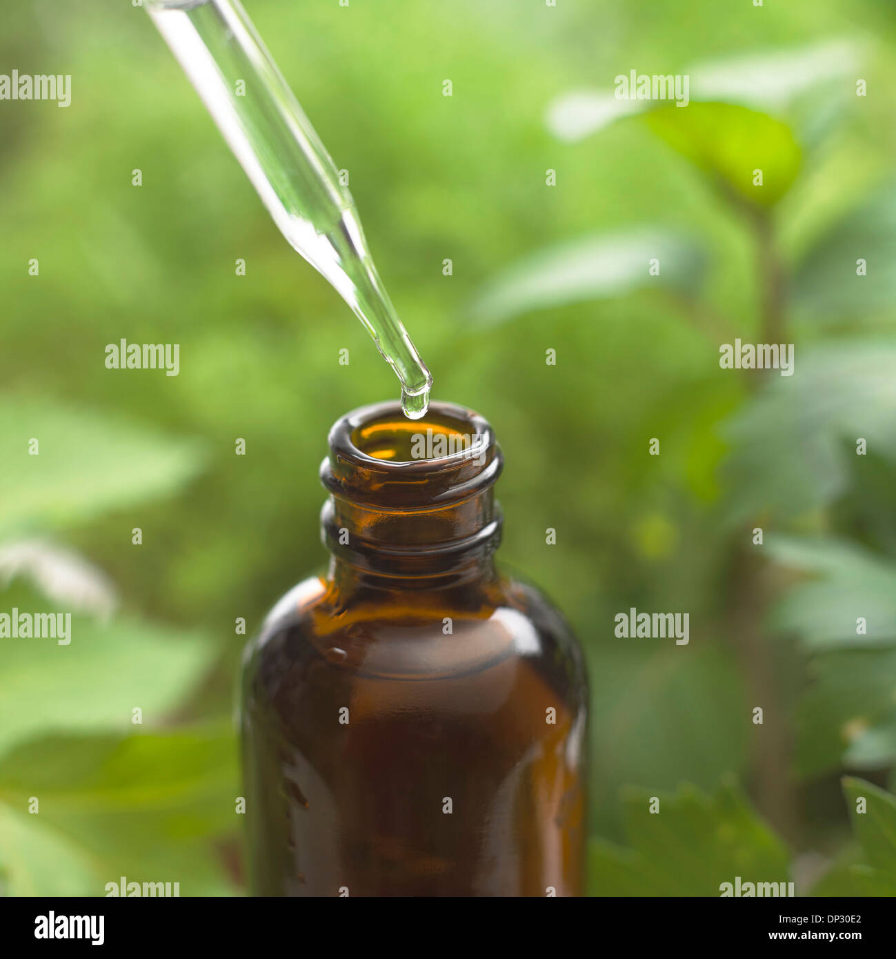 Herbal tincture Stock Photo