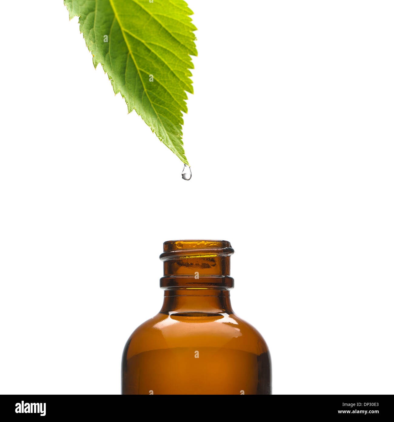 Herbal tincture, conceptual image Stock Photo