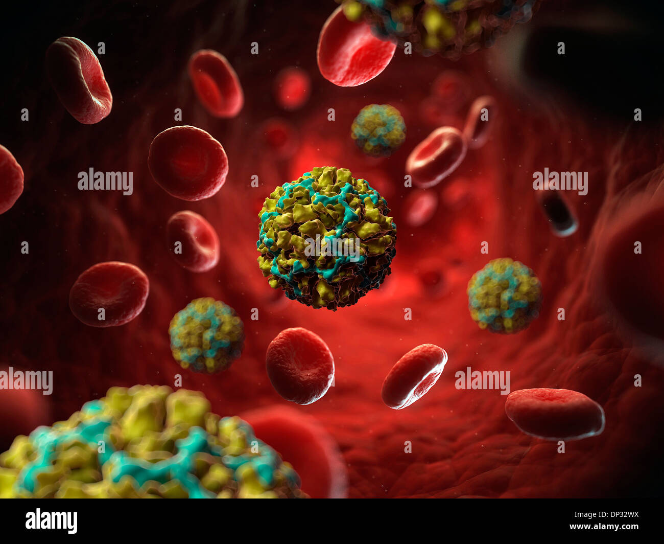 Human rhinovirus 14, artwork Stock Photo