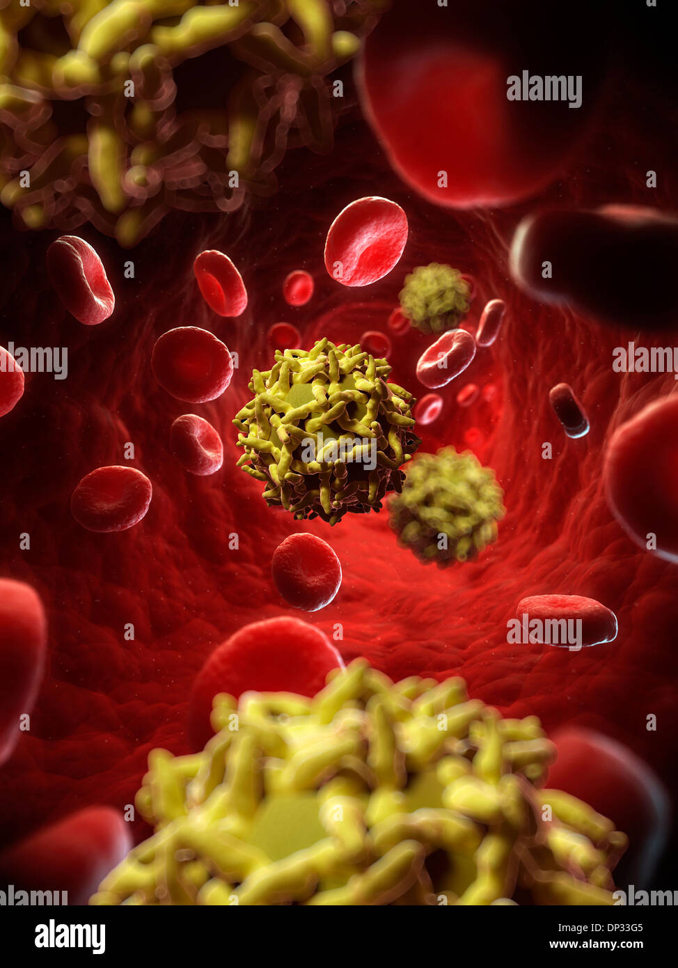 Yellow fever virus, artwork Stock Photo - Alamy