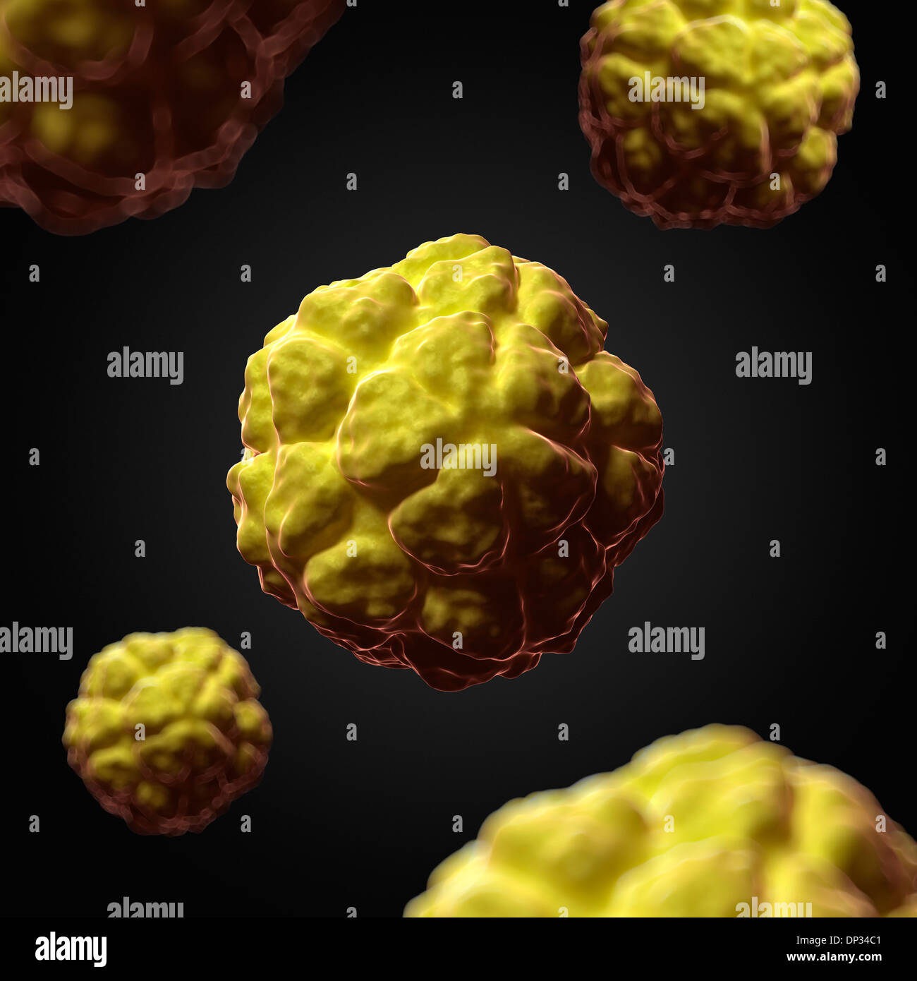 Tobacco necrosis virus hi-res stock photography and images
