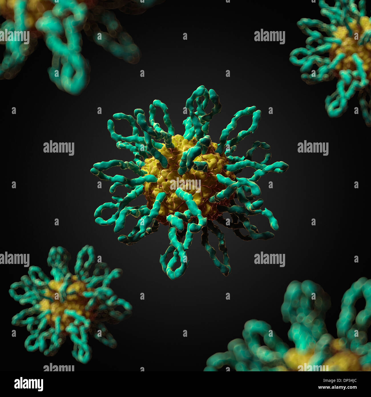 Coxsackievirus hires stock photography and images Alamy