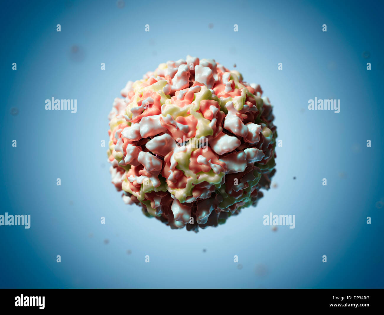 Human rhinovirus 16 particle, artwork Stock Photo