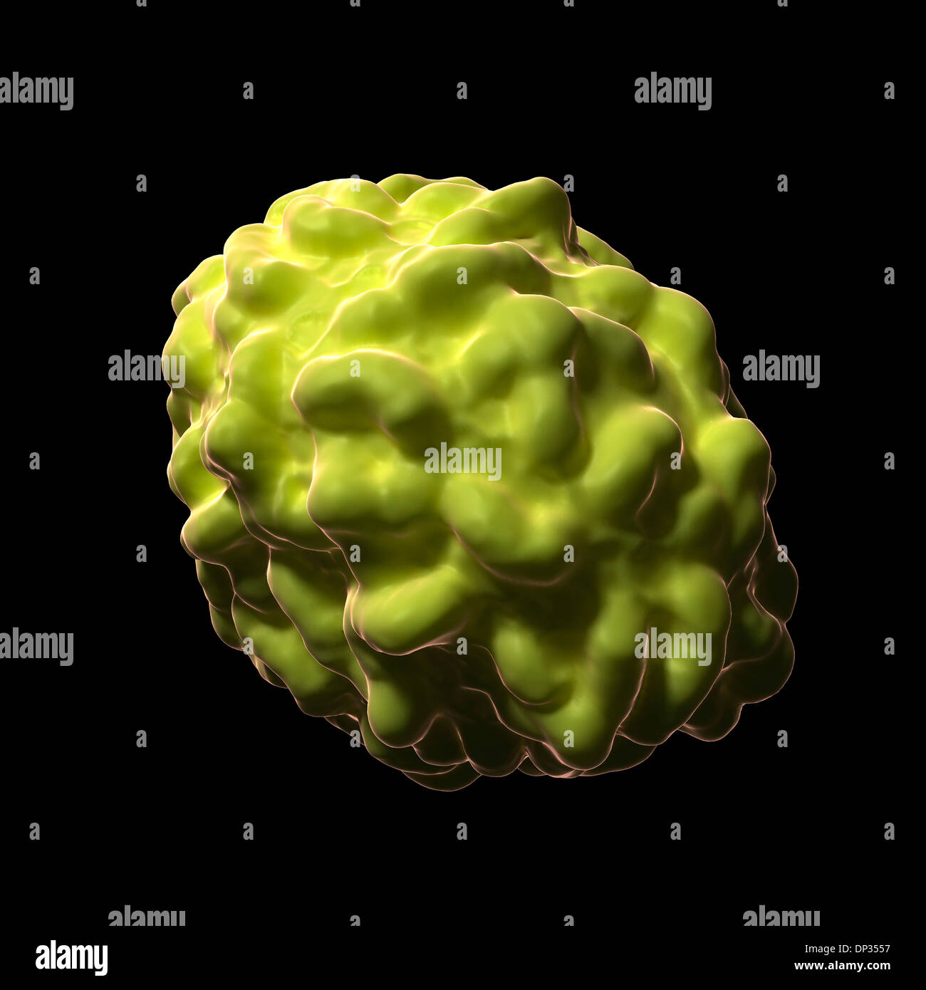 Smallpox virus particle, artwork Stock Photo - Alamy