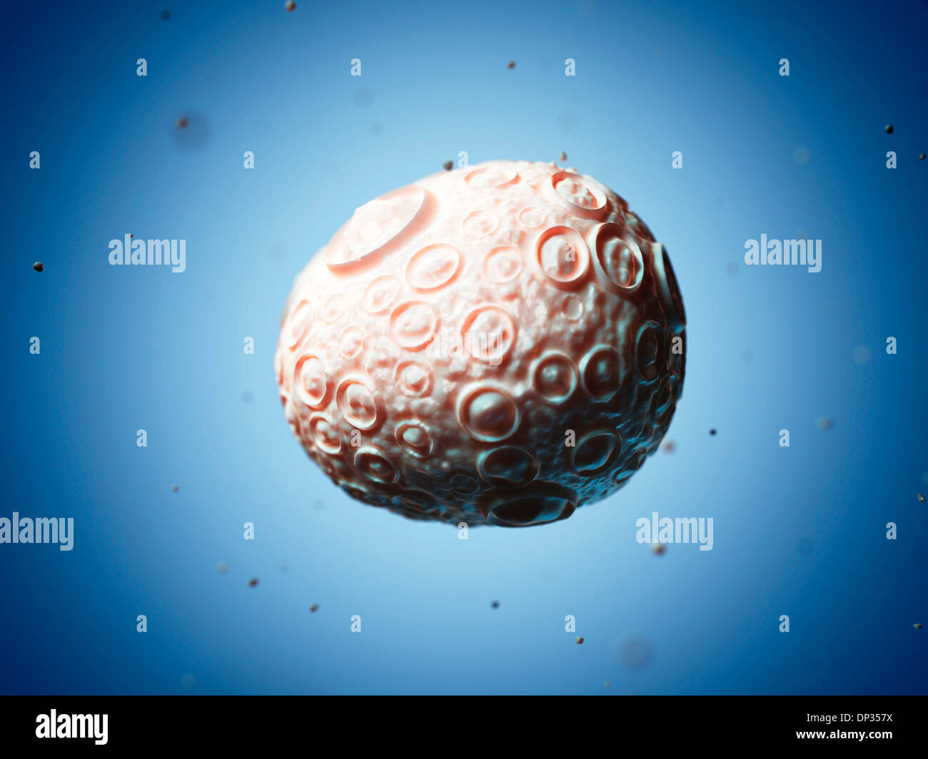 Infectious salmon anaemia virus, artwork Stock Photo