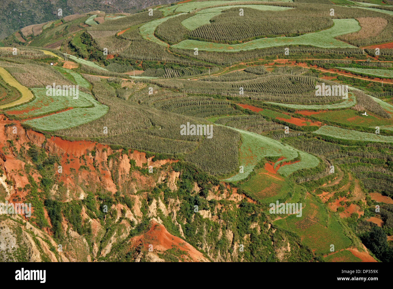 Crop patterns in Dongchuan Red Land, Luoxiagou (Lexiagua), Yunnan, China Stock Photo