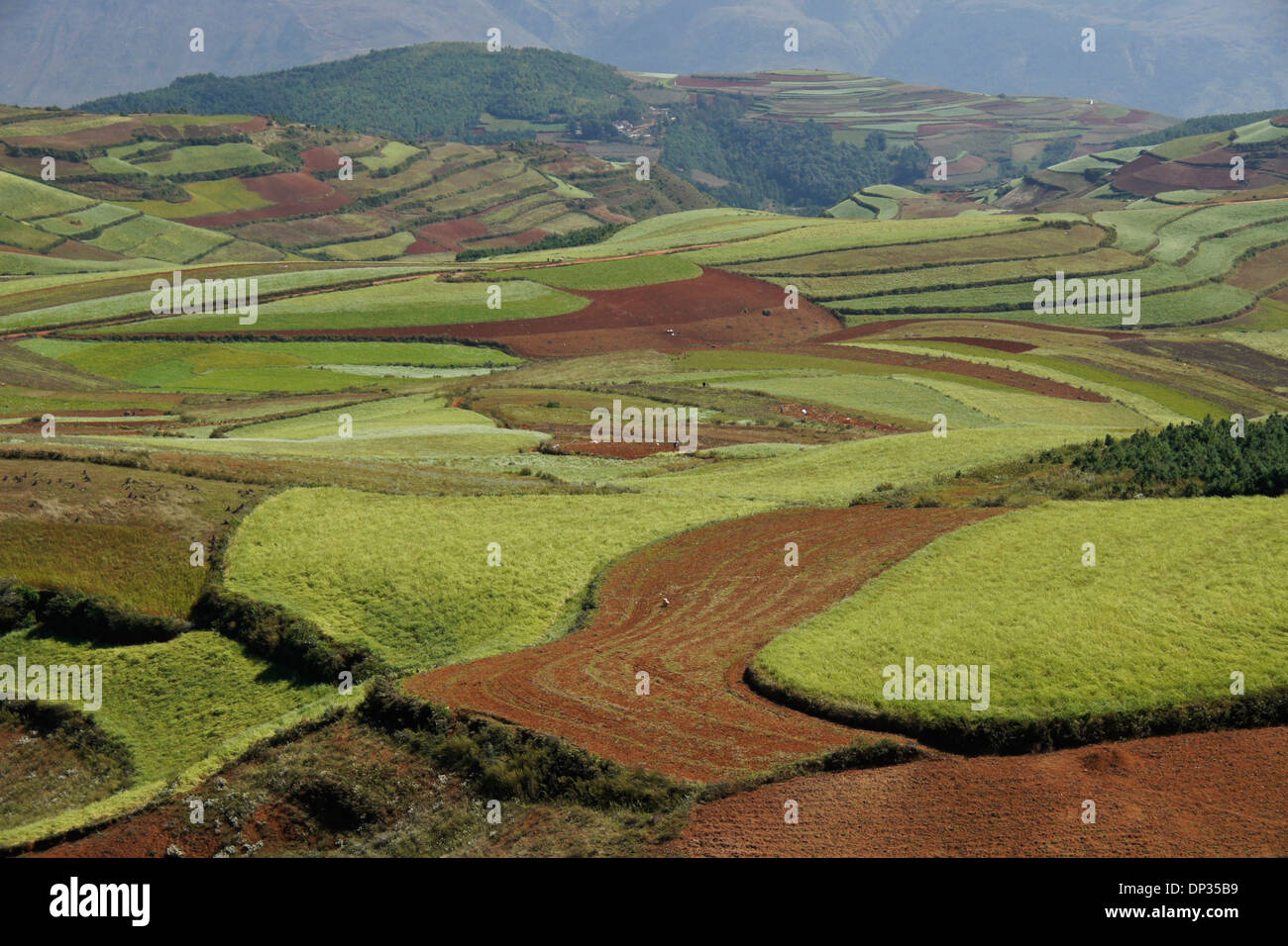 Crop patterns in Dongchuan Red Land, Jinxiuyuan, Yunnan, China Stock Photo
