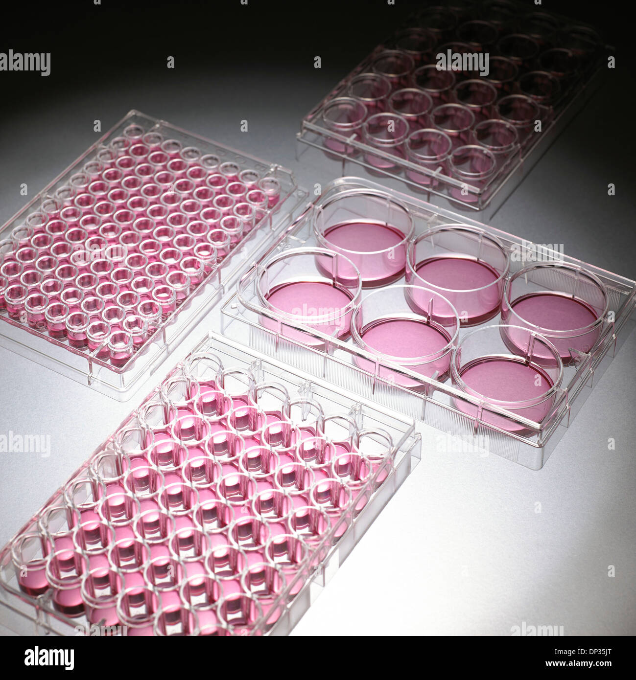 Cell culture plates Stock Photo