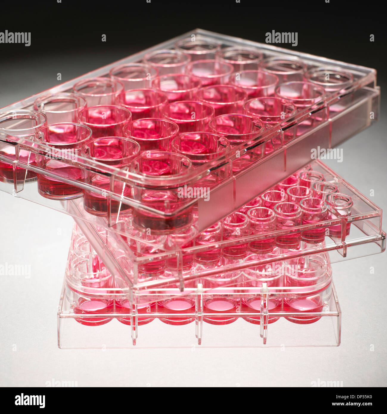 Cell culture plates Stock Photo Alamy