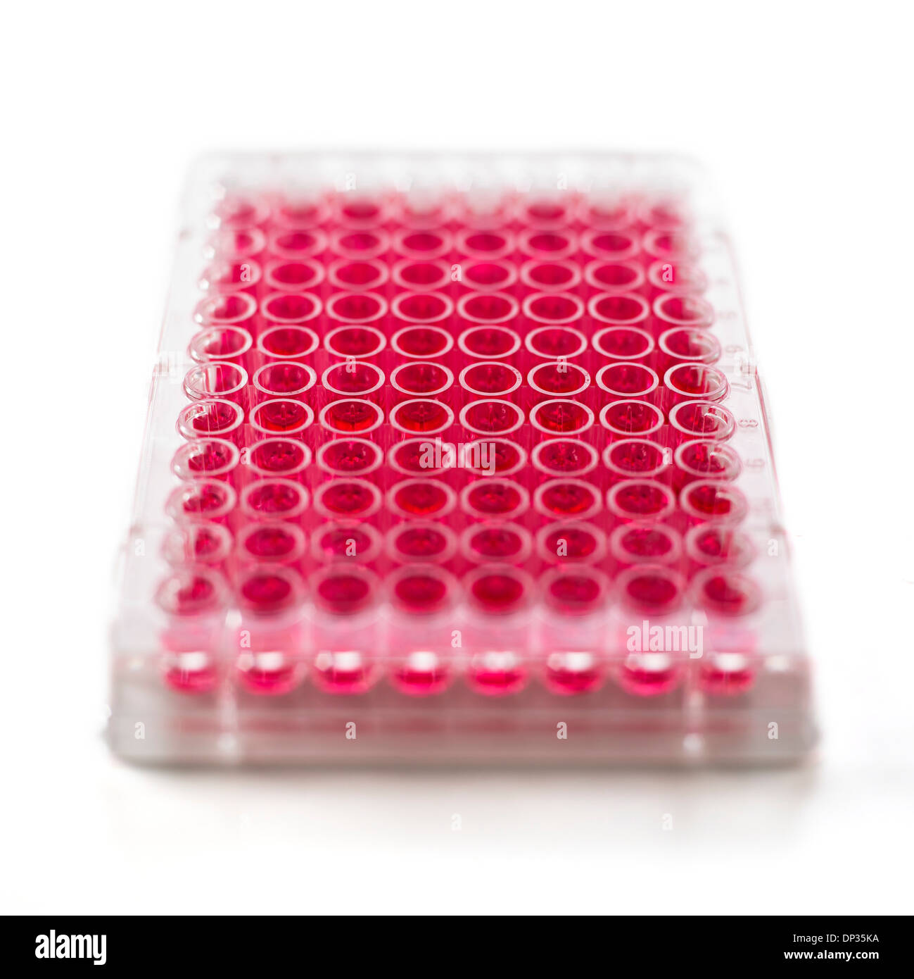Cell culture plates Stock Photo Alamy