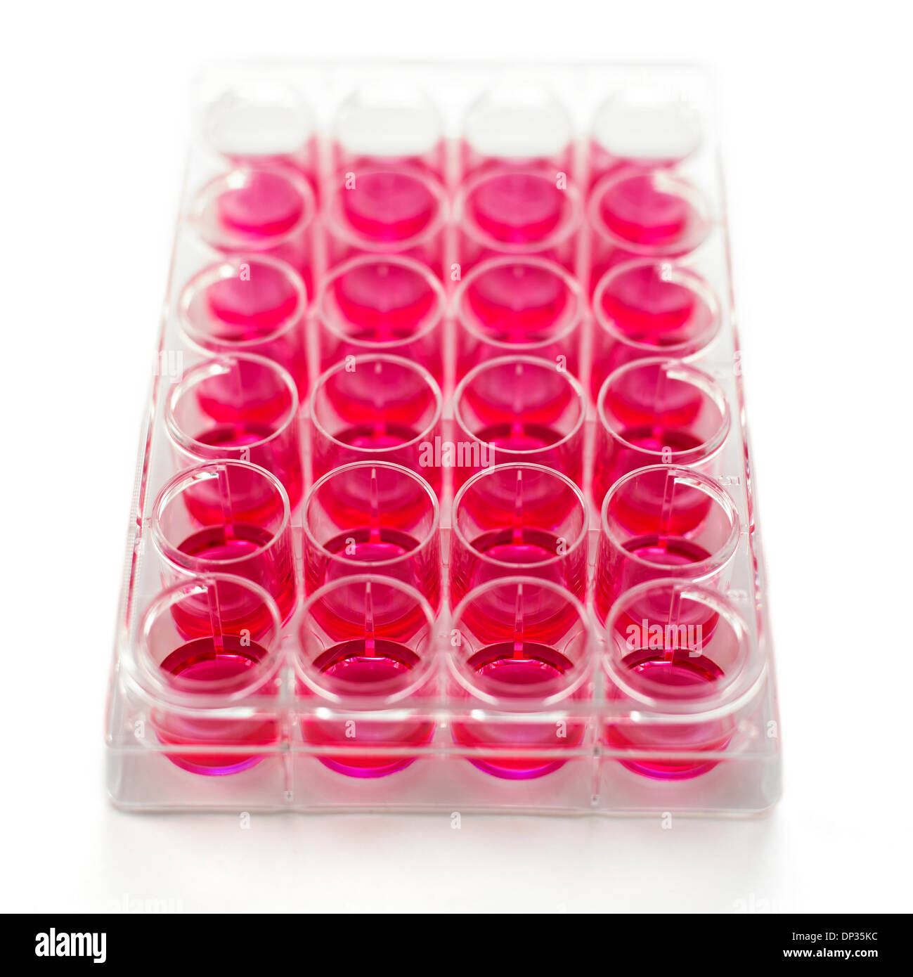 Cell culture plates Stock Photo