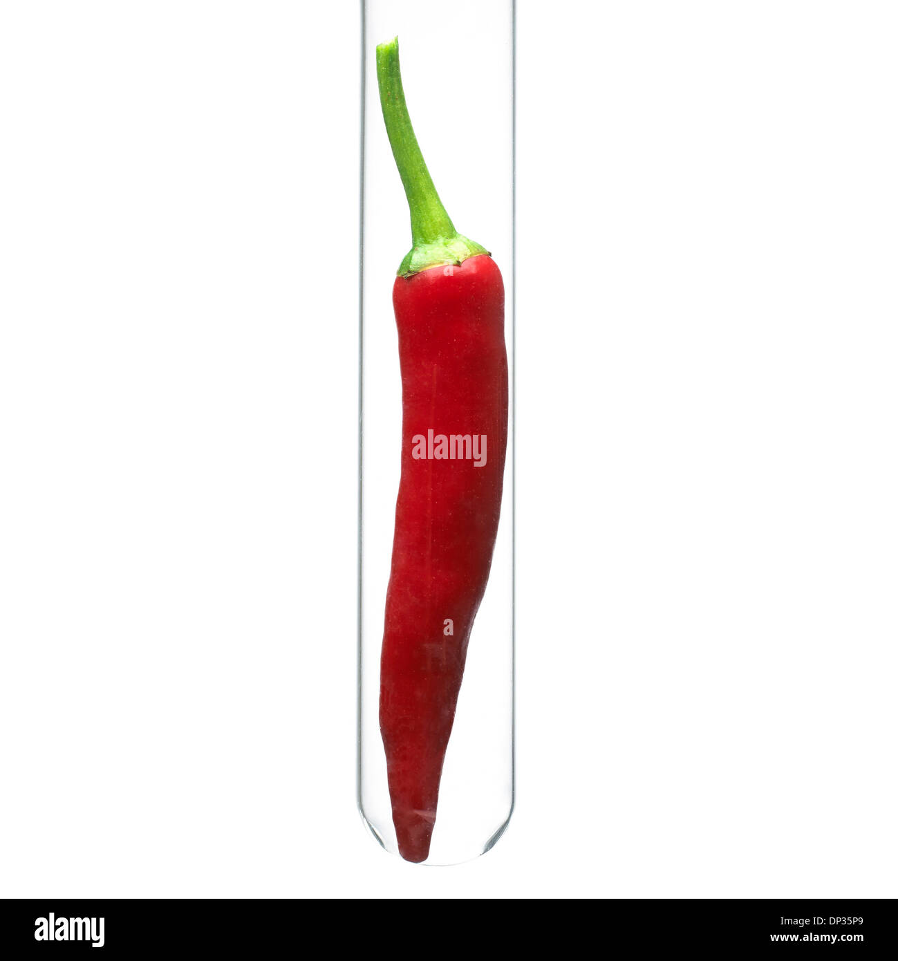 Chilli in a test tube Stock Photo