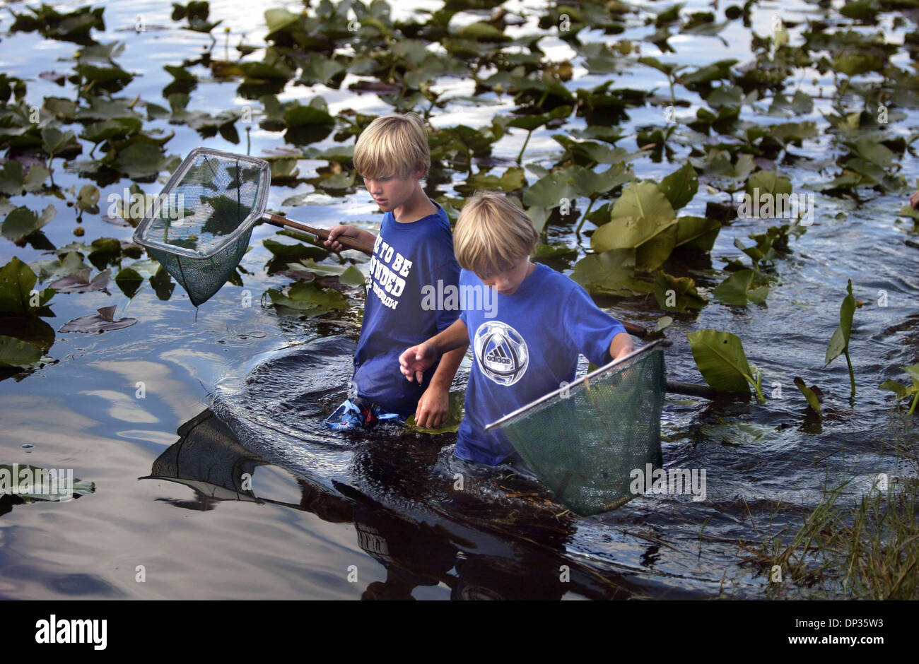 Jun 21, 2006; West Palm Beach, FL, USA; Harley Brown, 9, of Lighthouse Point, left, and Donavin Perron, 8, of Loxahatchee use nets to capture small marine life like minnows, tad poles and shrimp during FAU's Pine Jog Environnmental Education Center's Everglades Youth Conservation Camp at the J.W. Corbett Wildlife Management Area in suburban West Palm Beach. The overnight camp inclu Stock Photo