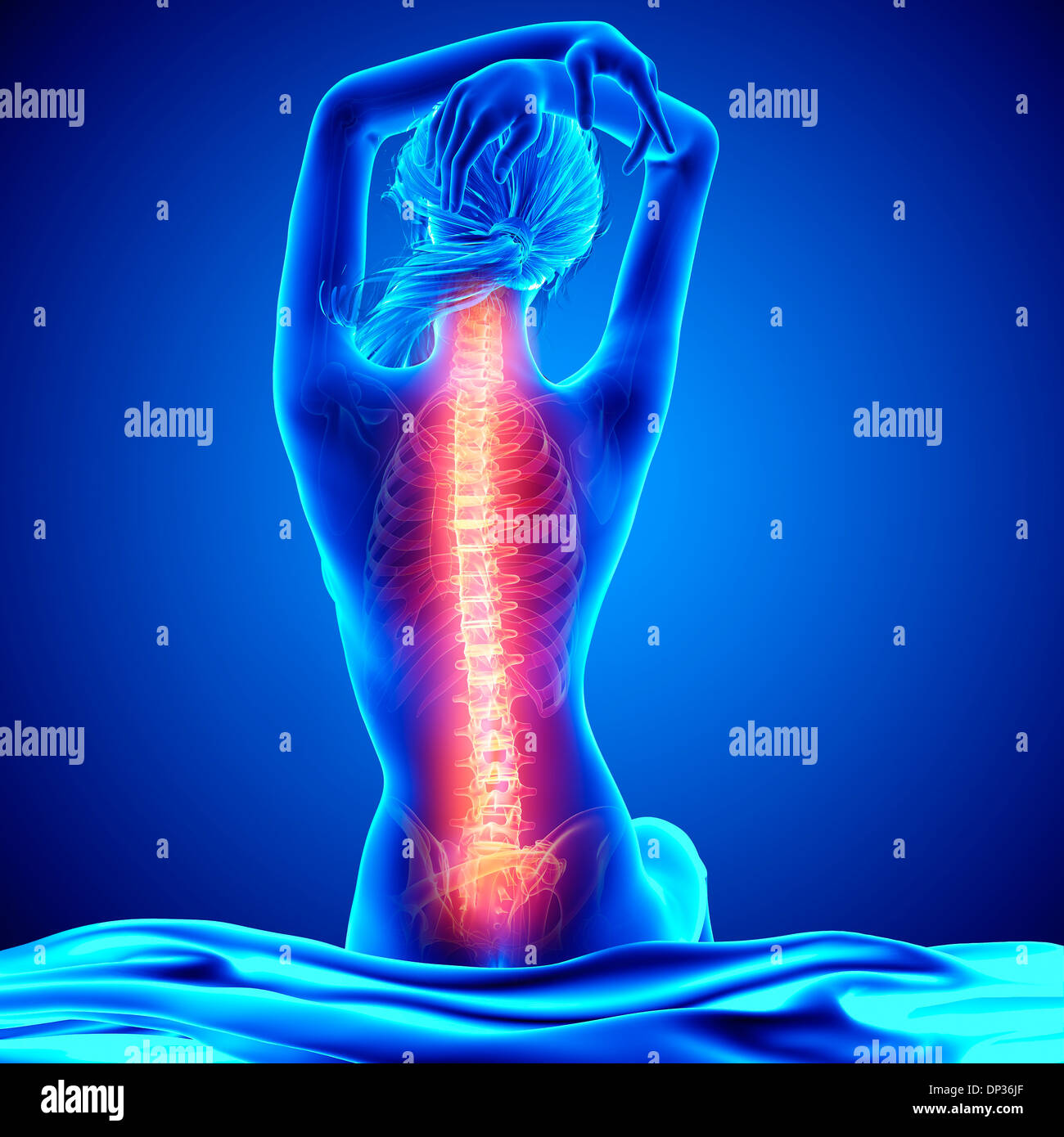 Back spine female illustration hires stock photography and images Alamy