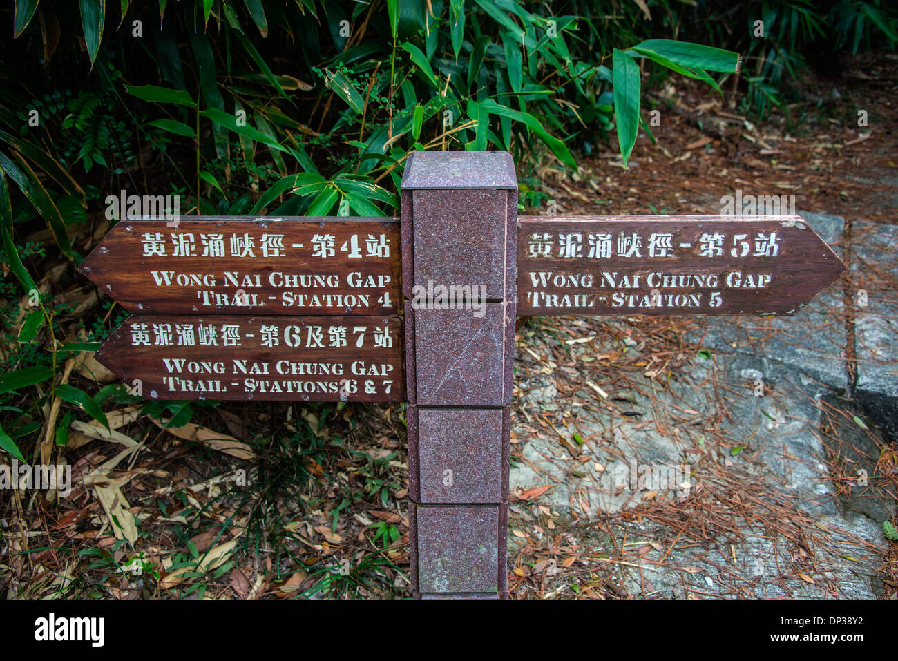 Wong Nai Chung Gap Trail Signpost and Information, Hong Kong Stock