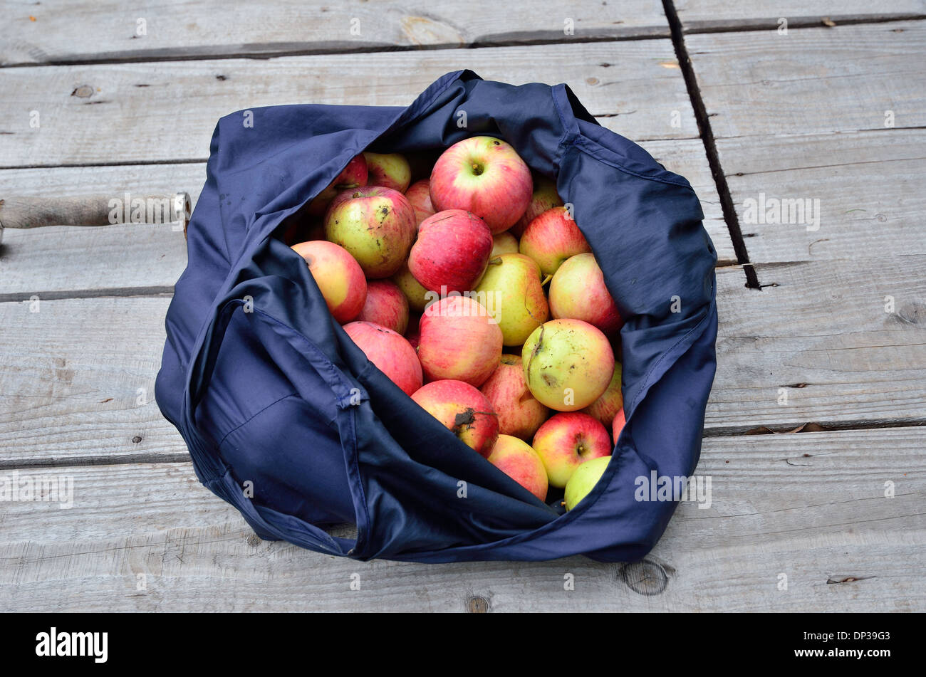 Bag with apples Stock Photo