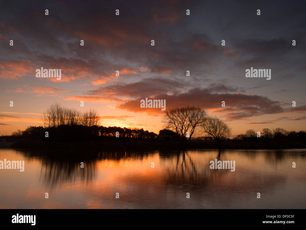 Sunrise on the River Trent at Colwick Park in Nottingham, England UK Stock Photo Alamy