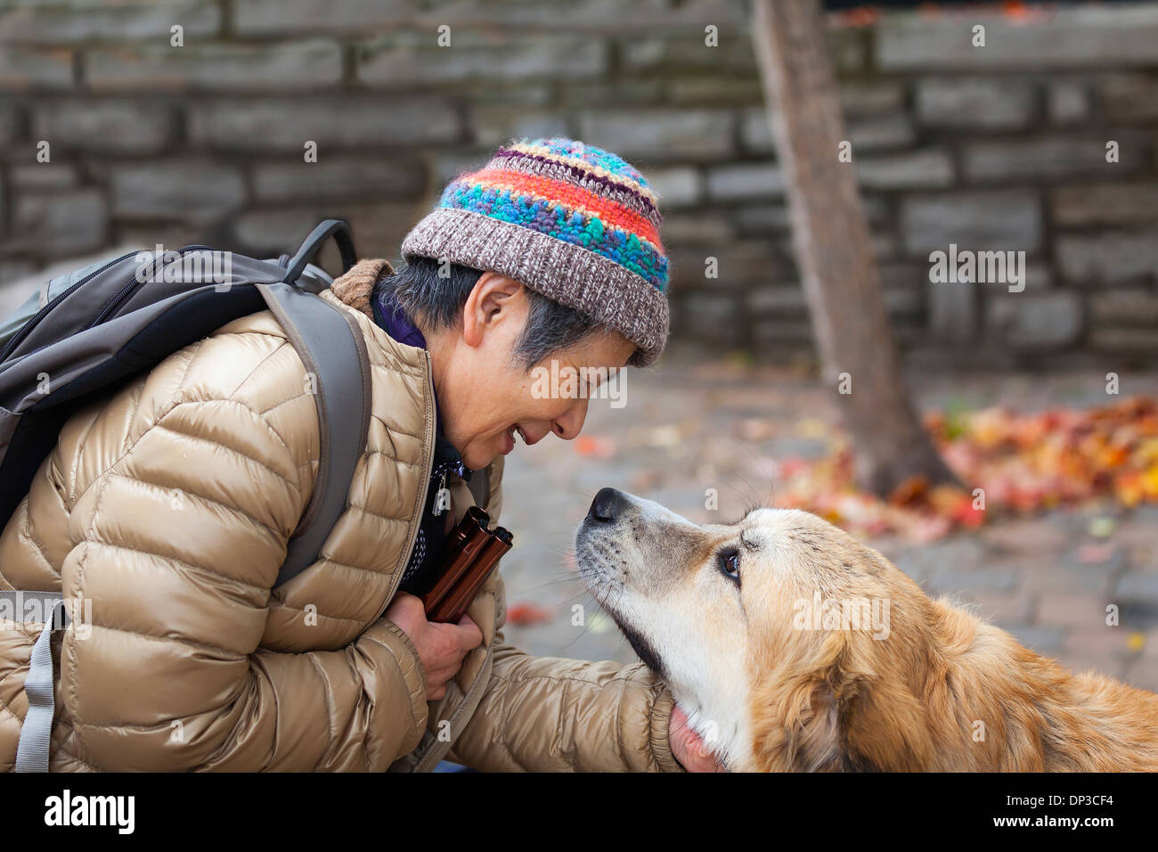 Woman greeting a dog, Mont Tremblant, Quebec, Canada Stock Photo