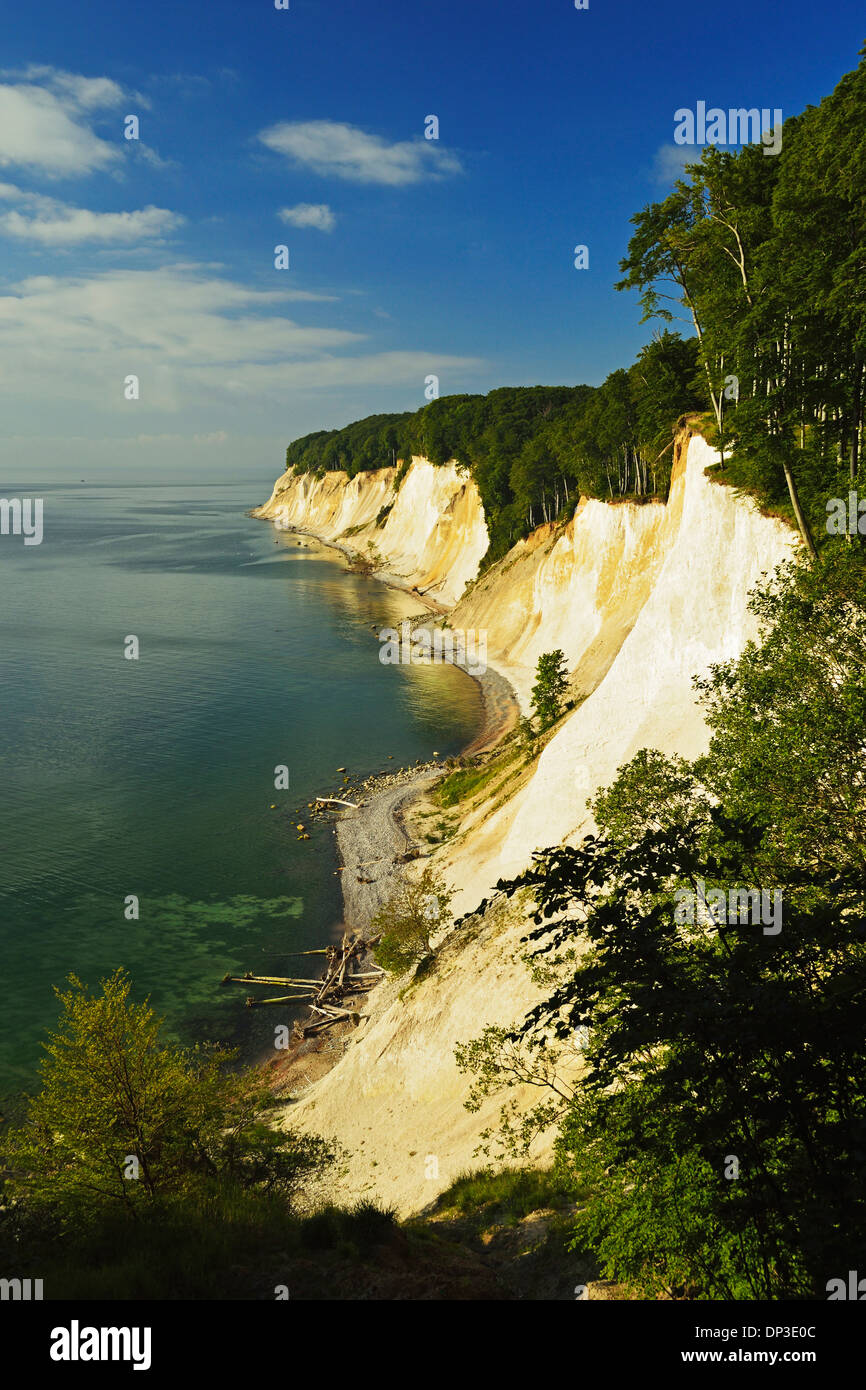 Chalk Cliffs Jasmund National Park Ruegen Island Mecklenburg 