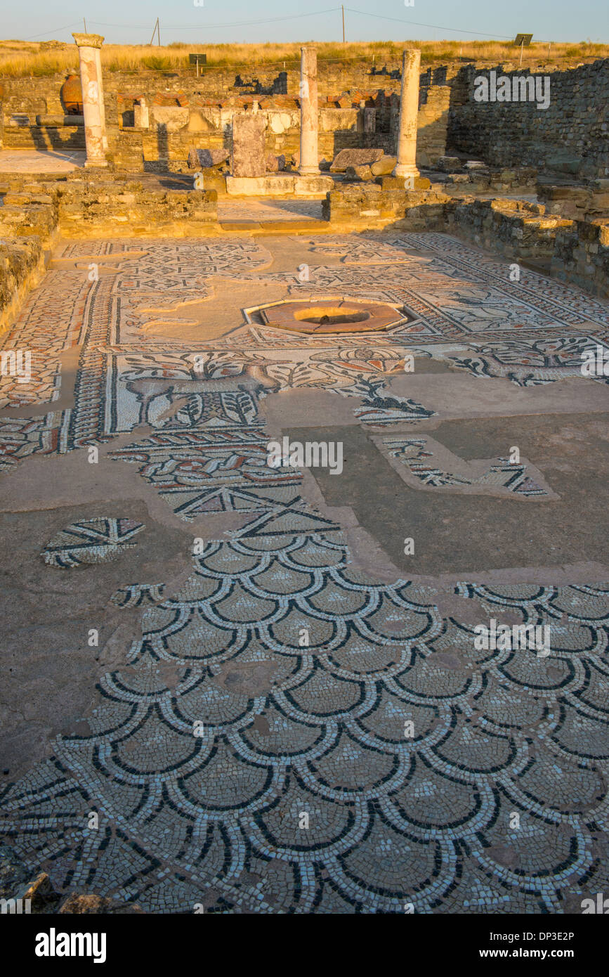 Mosaics and ruins at Stobi, 2000 year old Roman town in Southern Macedonia, Western Balkans Stock Photo