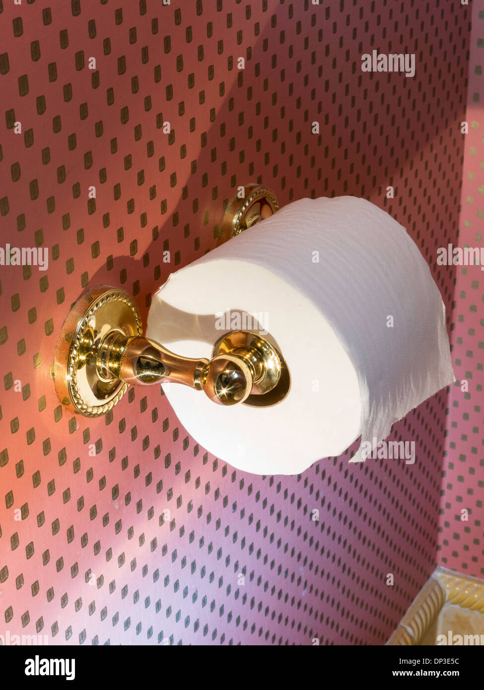 Toilet Paper (Bog Roll) in Wall Papered Orange Bathroom (Series 9 of 11  Stock Photo - Alamy