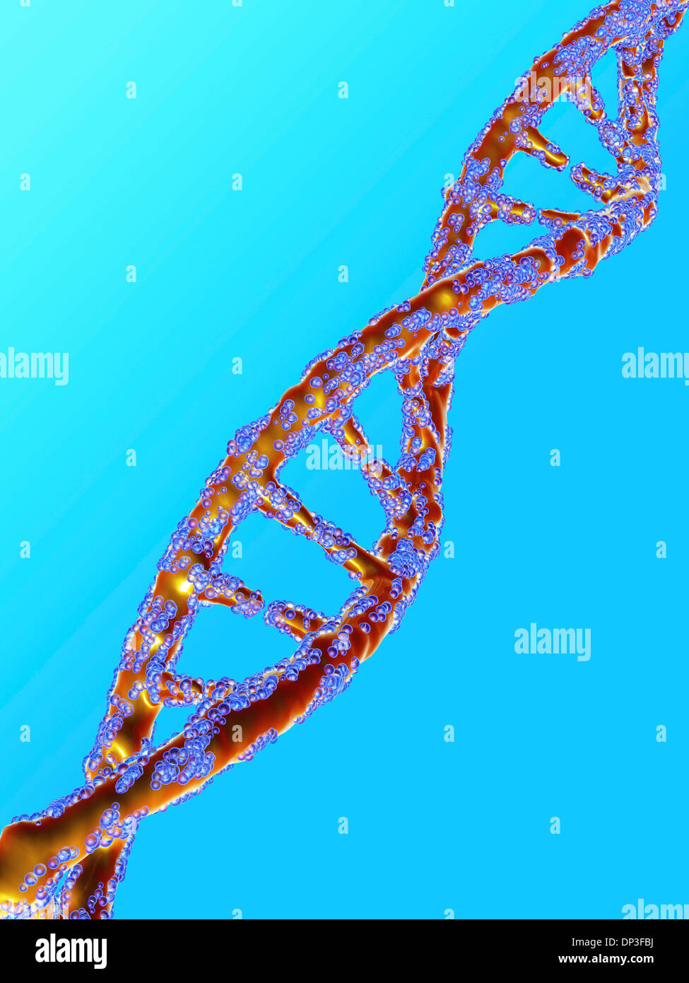 DNA molecule, artwork Stock Photo - Alamy