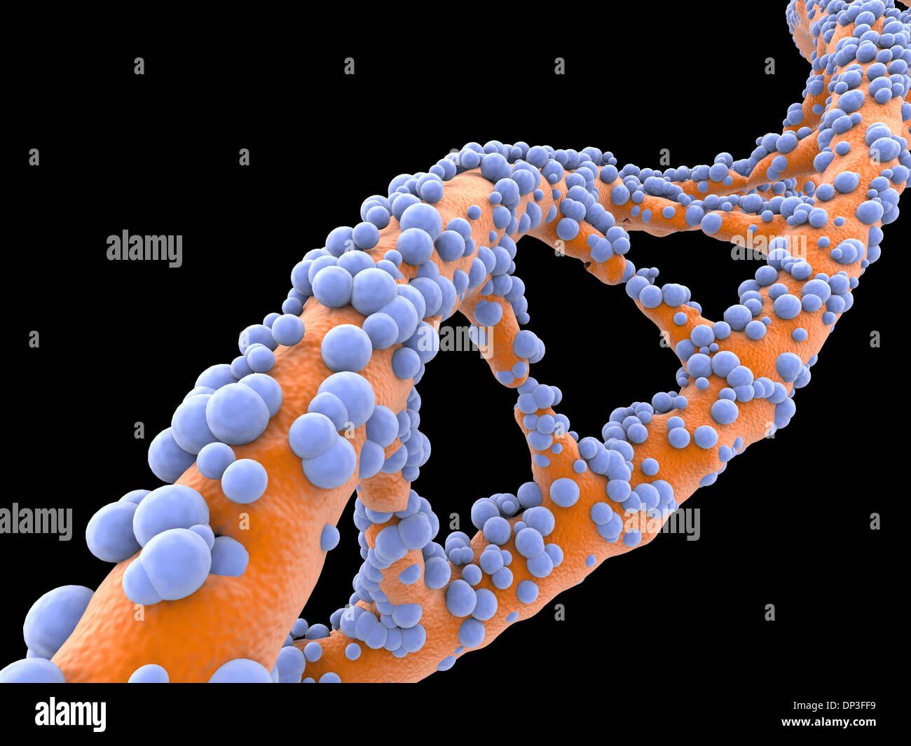 Dna Molecule Black Background Hi Res Stock Photography And Images Alamy