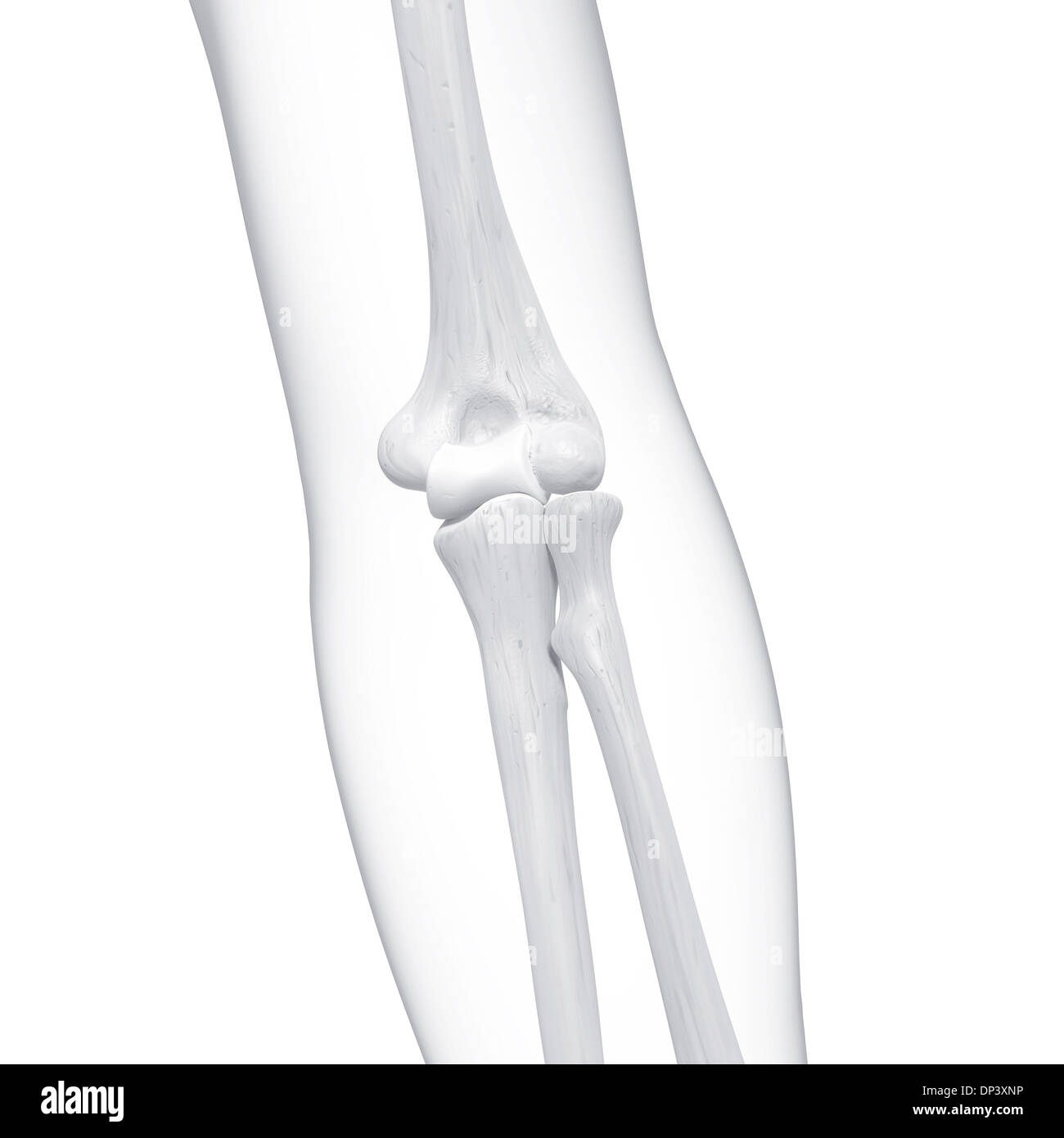 Human arm bones black background hi-res stock photography and images ...