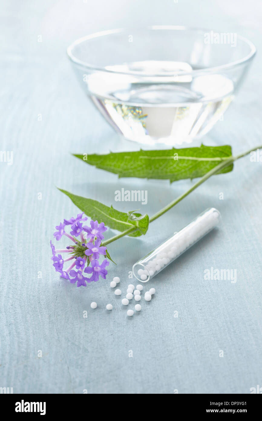 Still life of Bach flowers (Vervain), vial of globules and bowl of water, Germany Stock Photo
