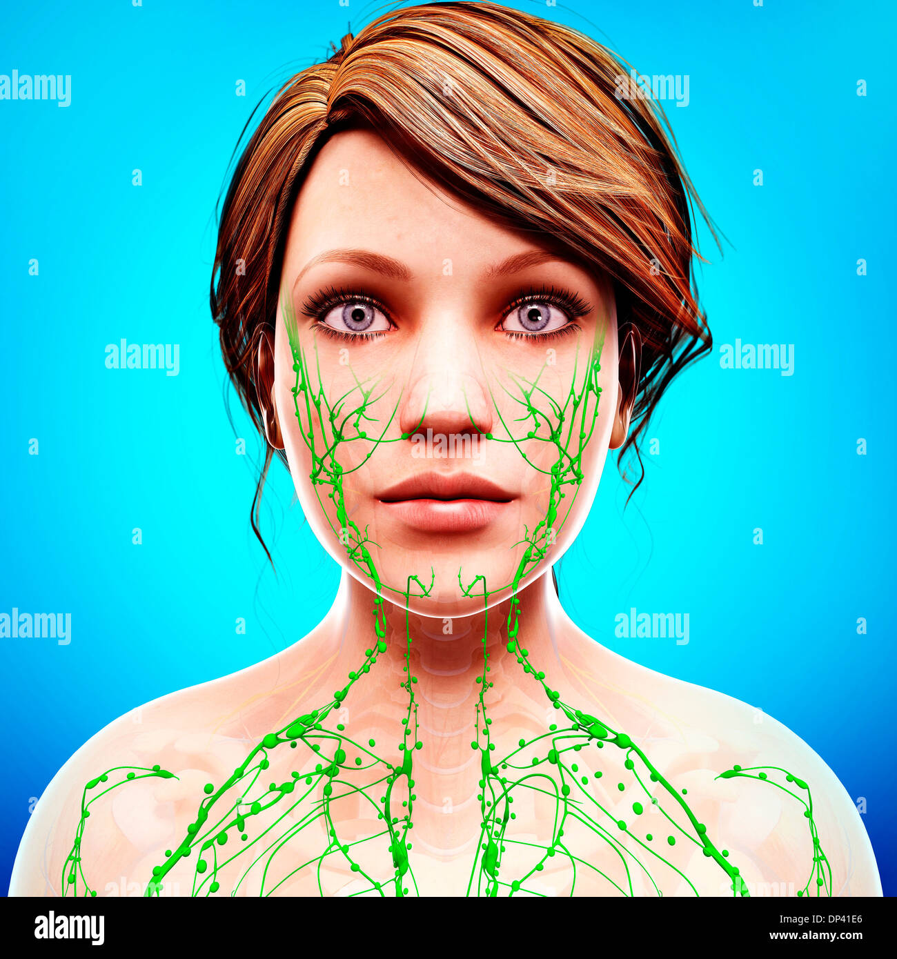 Sistema linfatico facial new arrivals