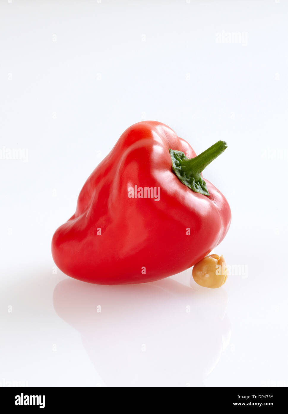 Fresh Red Pepper leaning on Cooked Chickpea, White Background, Studio Shot Stock Photo