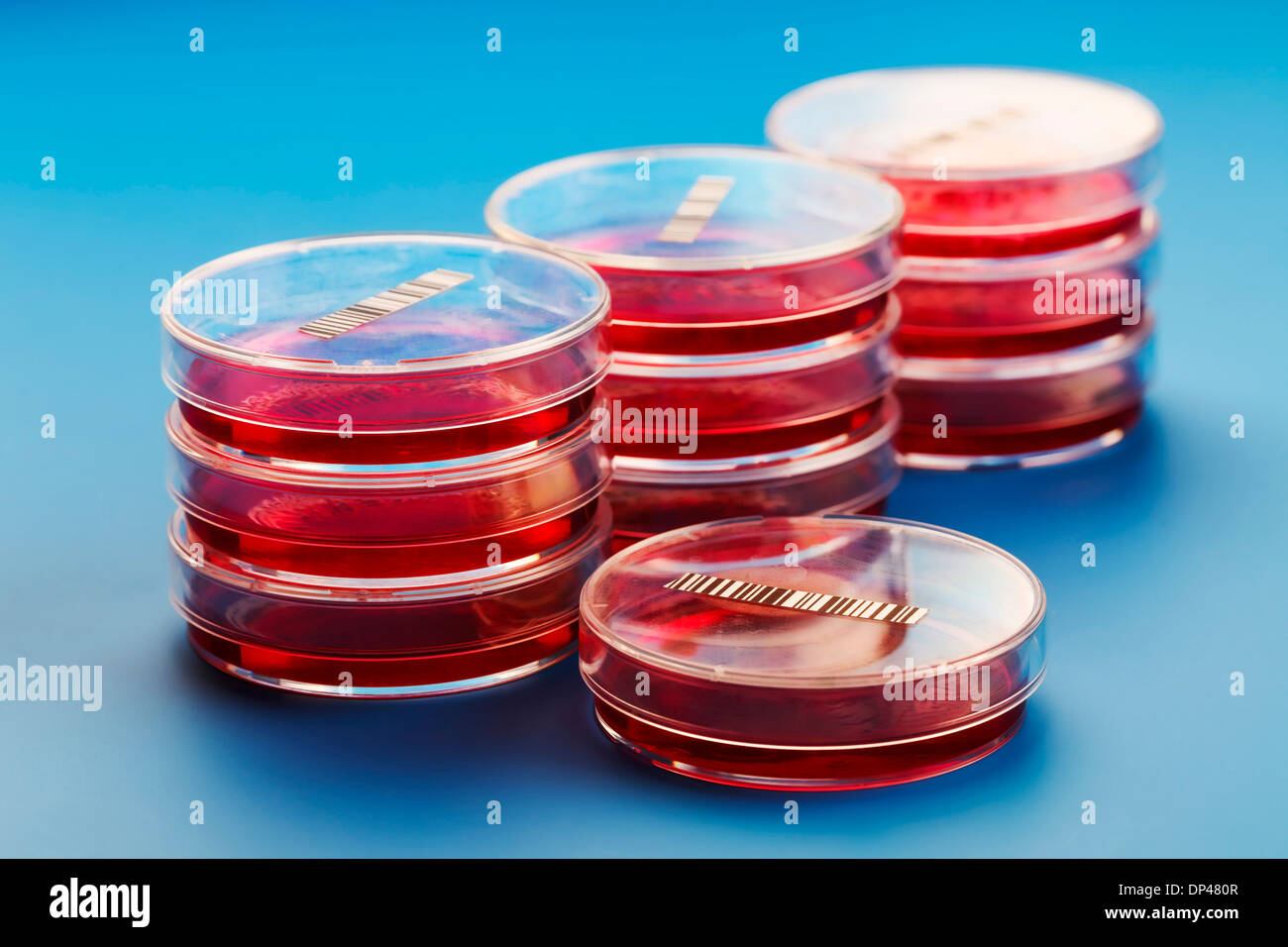 Barcoded petri dishes Stock Photo Alamy