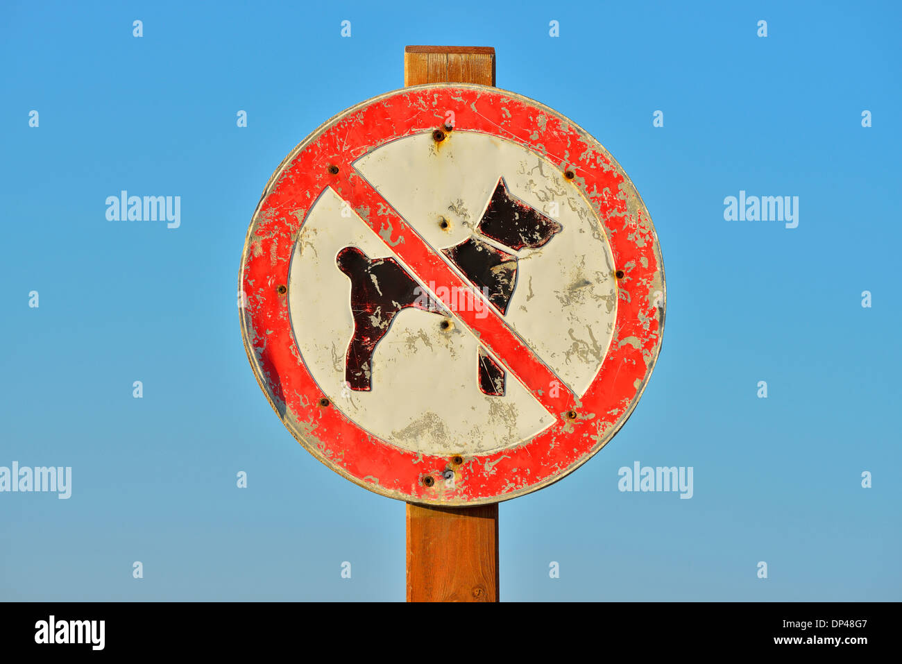 No Dogs Allowed Sign at Beach, Norderdeich, Sankt PeterOrding, North