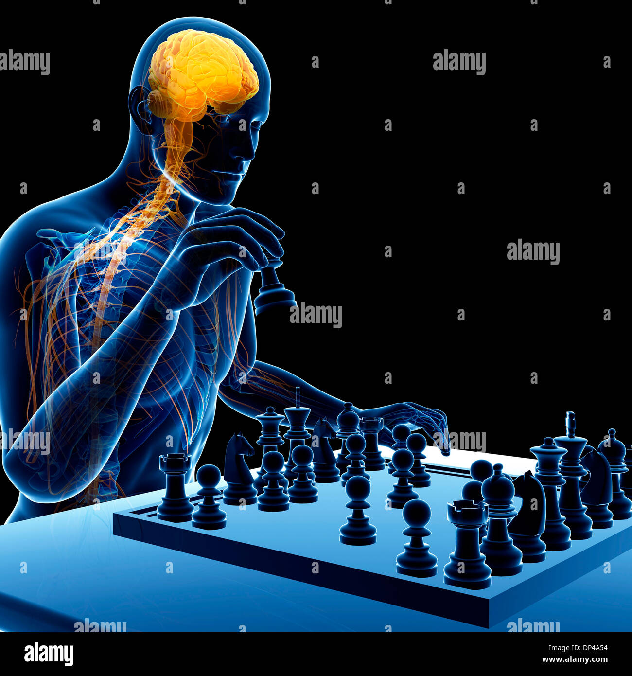 Paul Morphy, American Chess player and Champion Stock Photo - Alamy