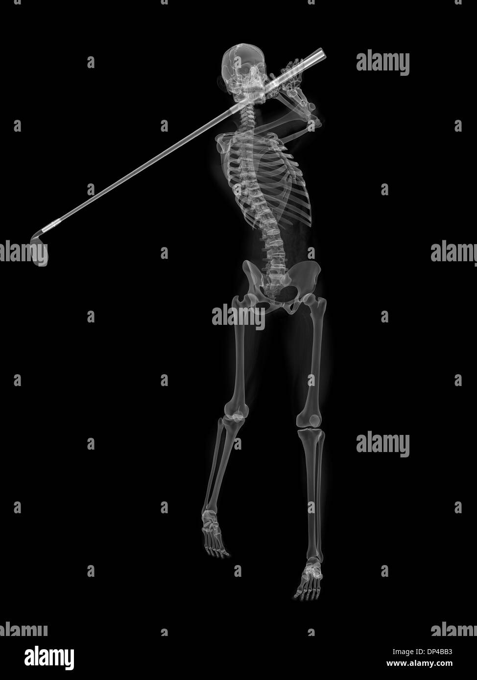 Skeleton playing golf, artwork Stock Photo Alamy