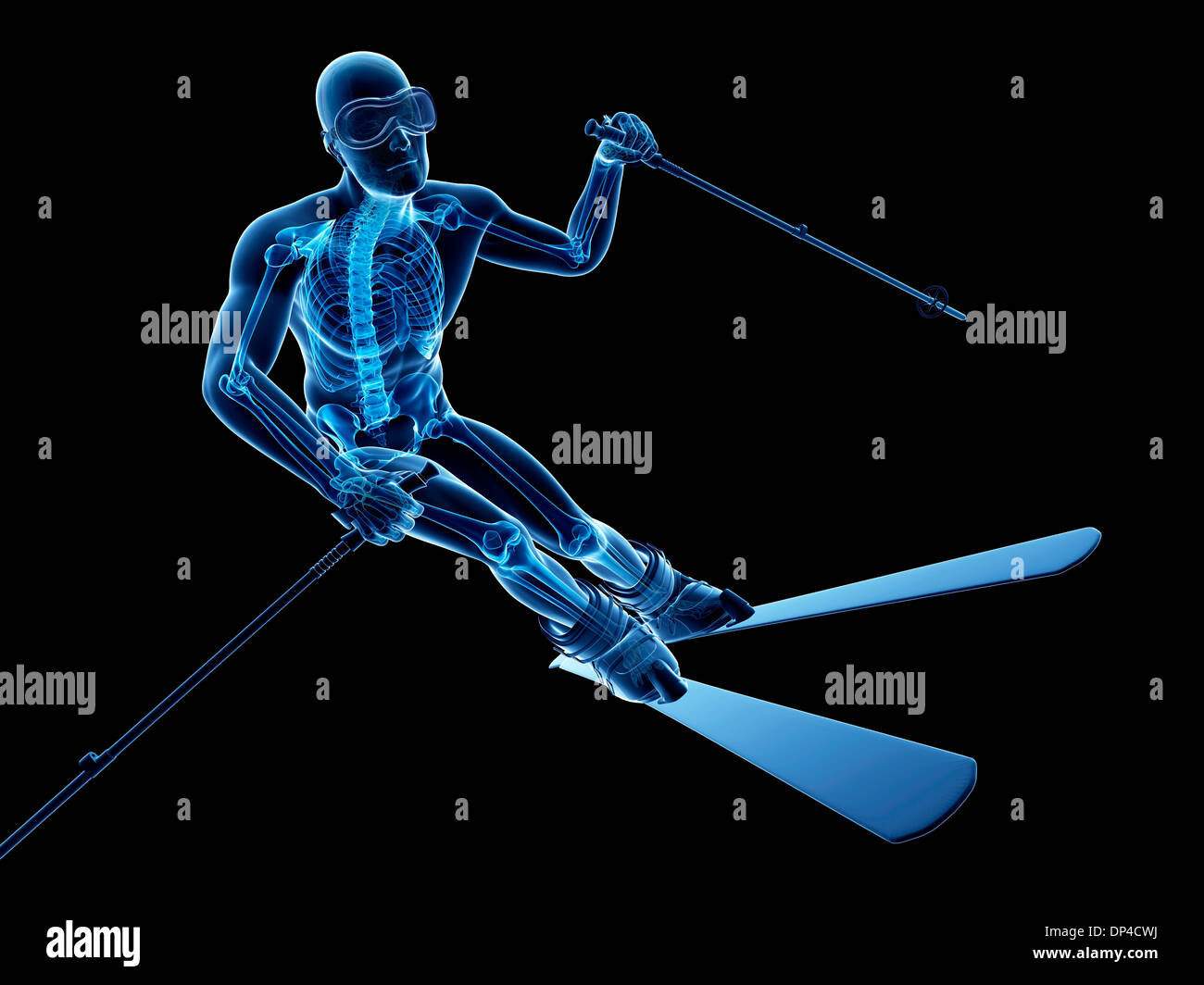 Skeleton skiing artwork hi-res stock photography and images - Alamy