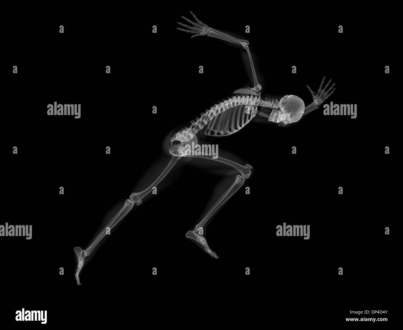 Skeleton sprinting, artwork Stock Photo