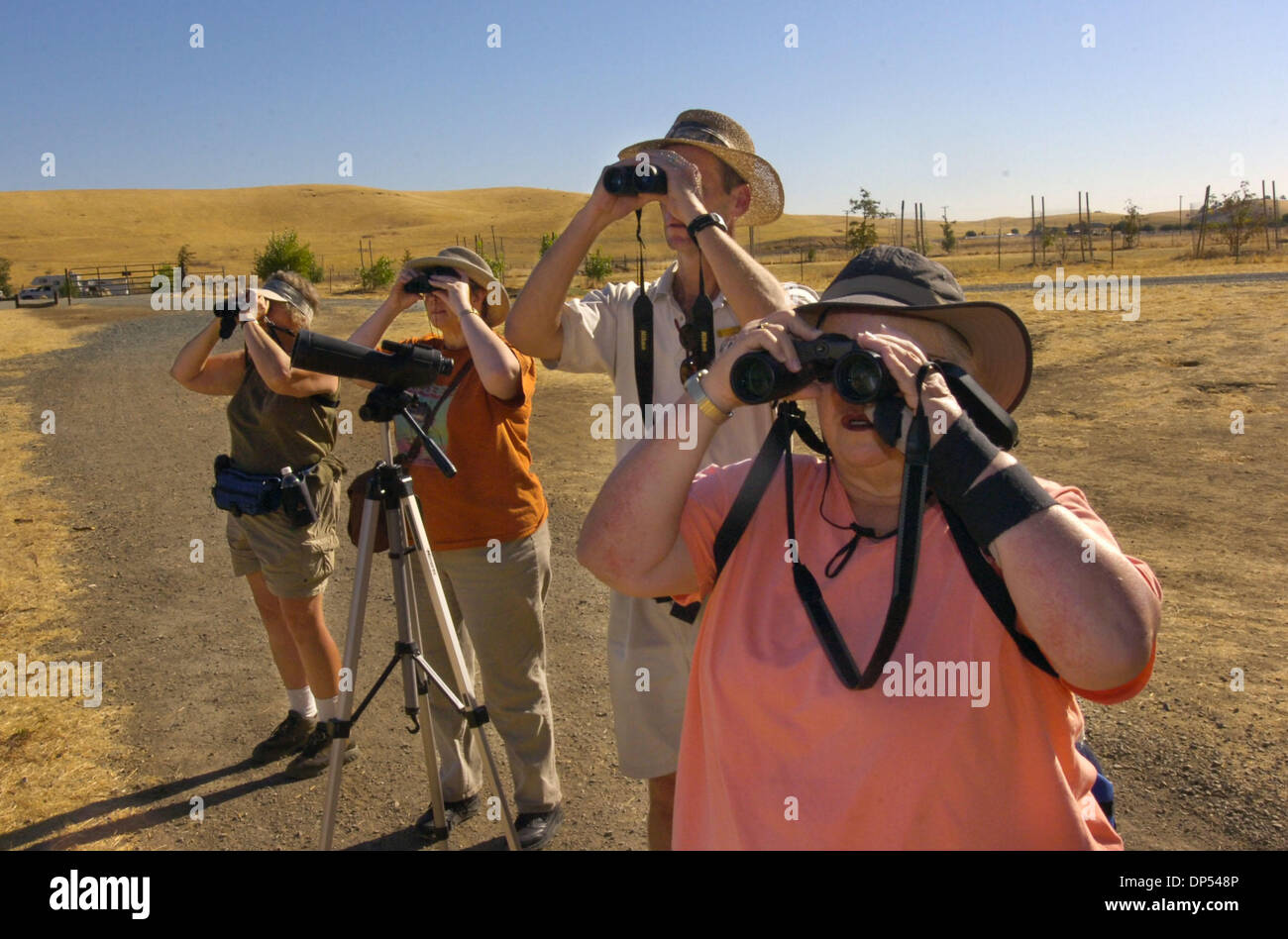 Aug 31, 2006; Far East County, CA, USA; Bird watchers Sue Donecker of Clayton, left, Barbara McLauchlin of Oakland, Naturalist Mike Moran and Jody Sherrard of Martinez set their sites on a Red-tail Hawk searching for its next meal over Round Valley Regional Park in far east Contra Costa County Thursday  morning  Aug. 31, 2006.  The group of bird watchers was lead by East Bay Region Stock Photo