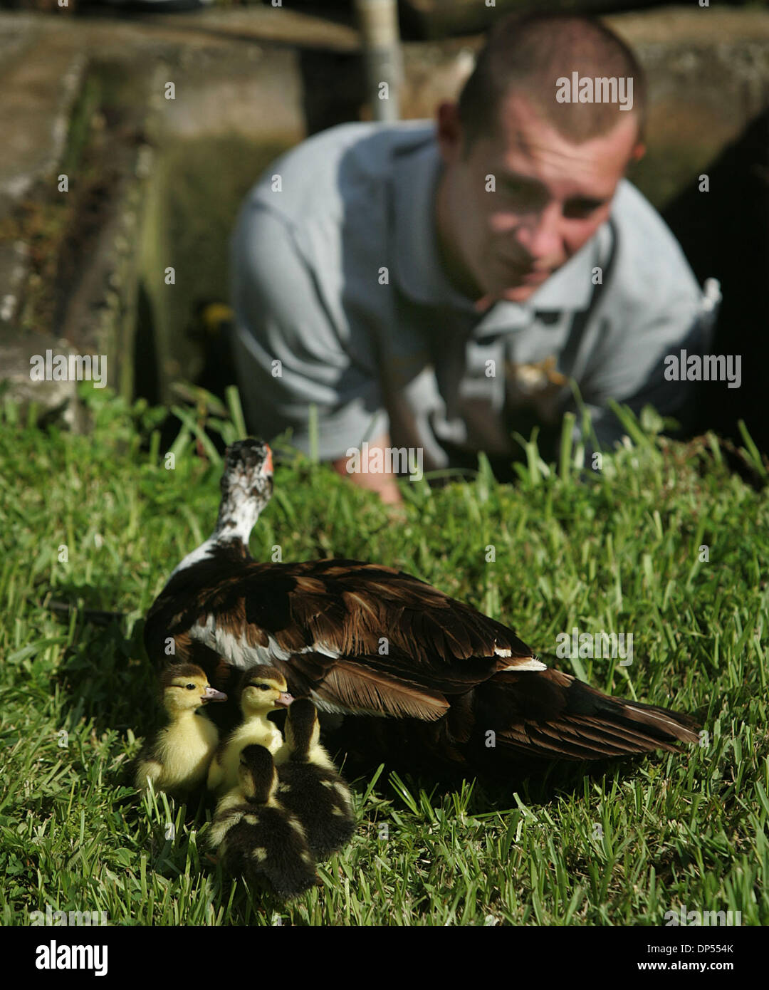 Riding shotgun hi-res stock photography and images - Alamy