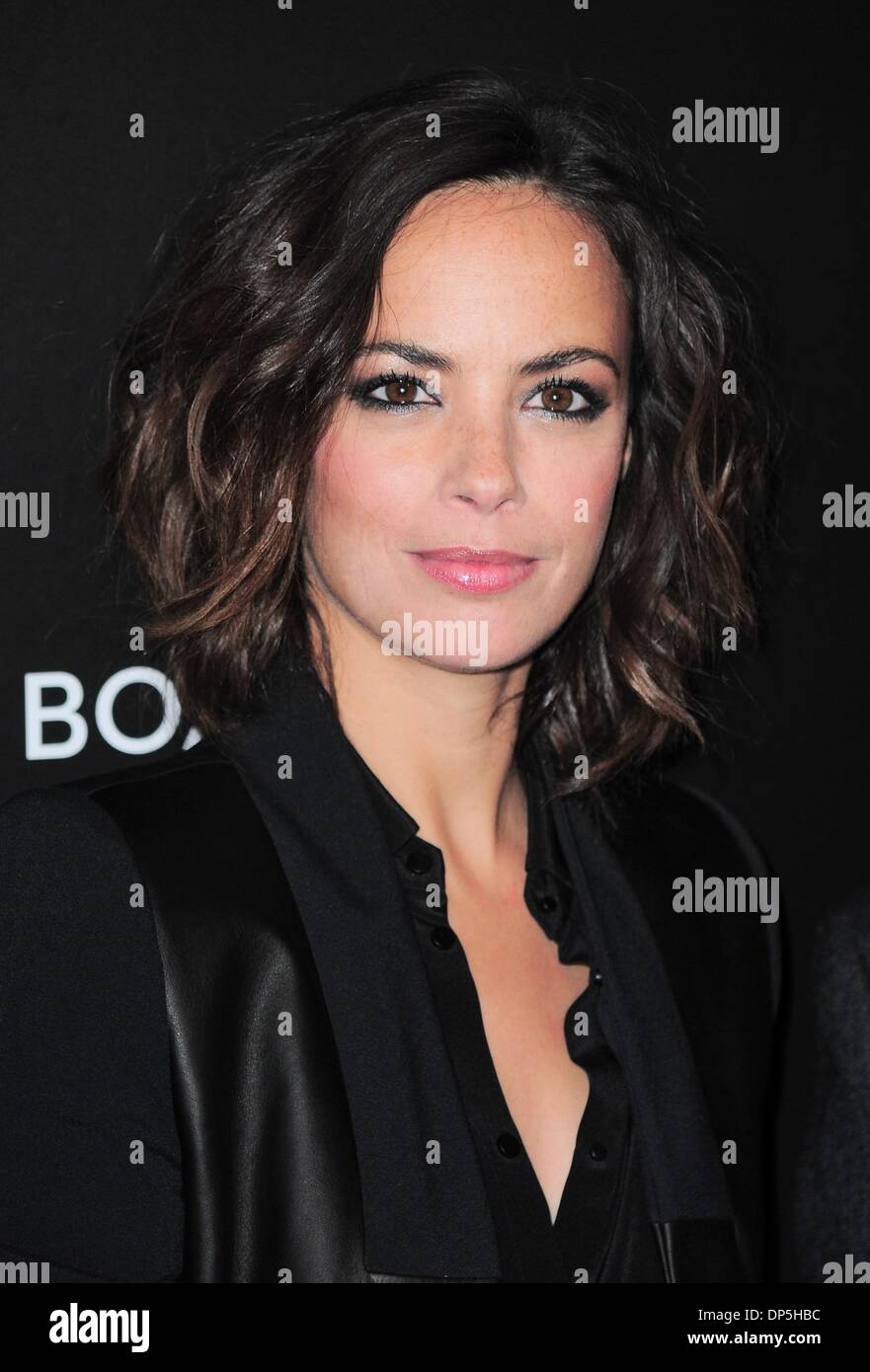 New York, NY, USA. 7th Jan, 2014. Berenice Bejo at arrivals for