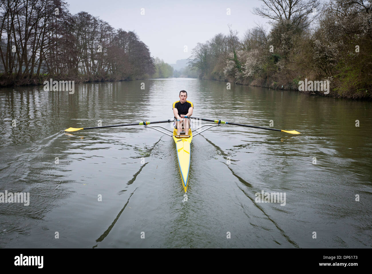 One man in a single scull rowing boat on the river Avon in Bath, UK. Stock Photo