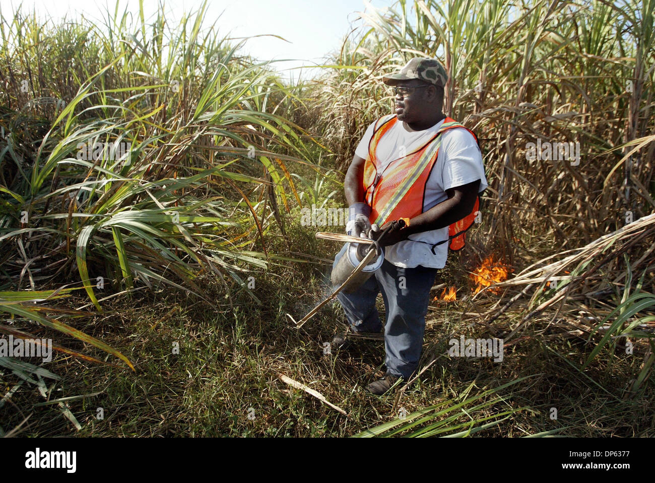 Uses pot hires stock photography and images Alamy