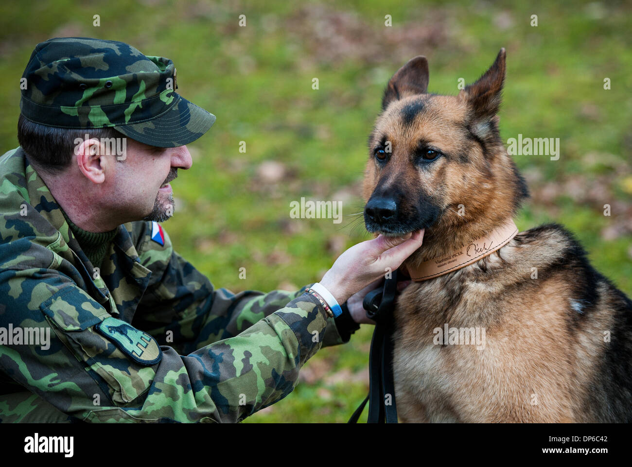 Chotyne, Czech Republic. 7th Jan, 2014. Four-year-old military dog Athos  that was seriously wounded during Czech mission in Afghanistan in 2012 sits  with its dog handler Rostislav Bartoncik after being decorated by