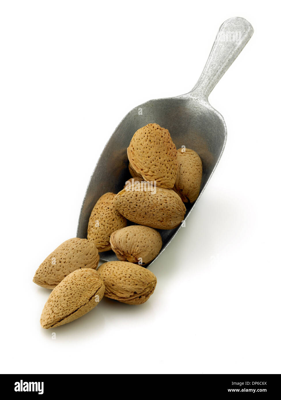 Almonds in shell on white hires stock photography and images Alamy