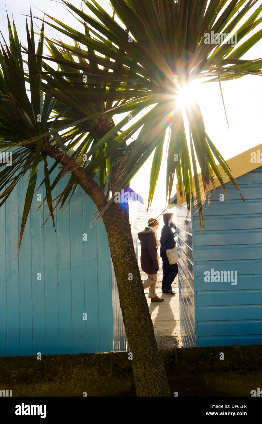People in walking on the promenade between beach huts, as the sun sets behind a palm tree. Stock Photo
