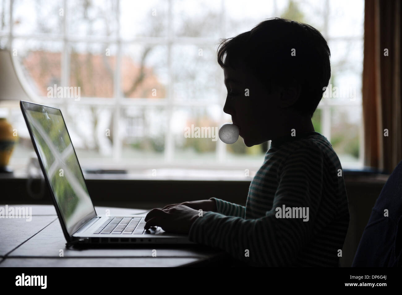 boy doing his homework using laptop in his home Stock Photo - Alamy